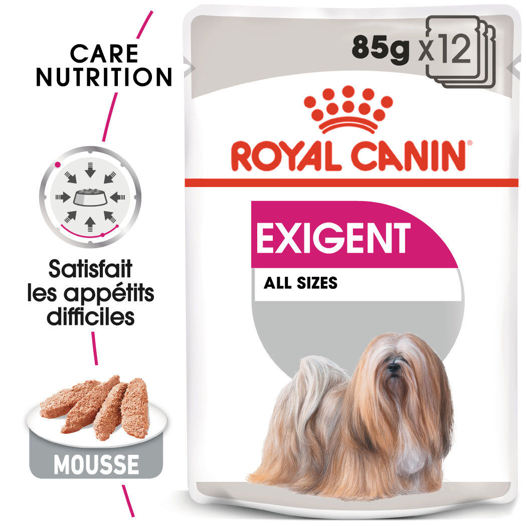 Royal Canin - P&acirc;t&eacute;e Exigent en Mousse pour Chien - 12x85g Image num&eacute;ro 1