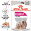 Royal Canin - Pâtée Exigent en Mousse pour Chien - 12x85g Indicateur image numéro 1
