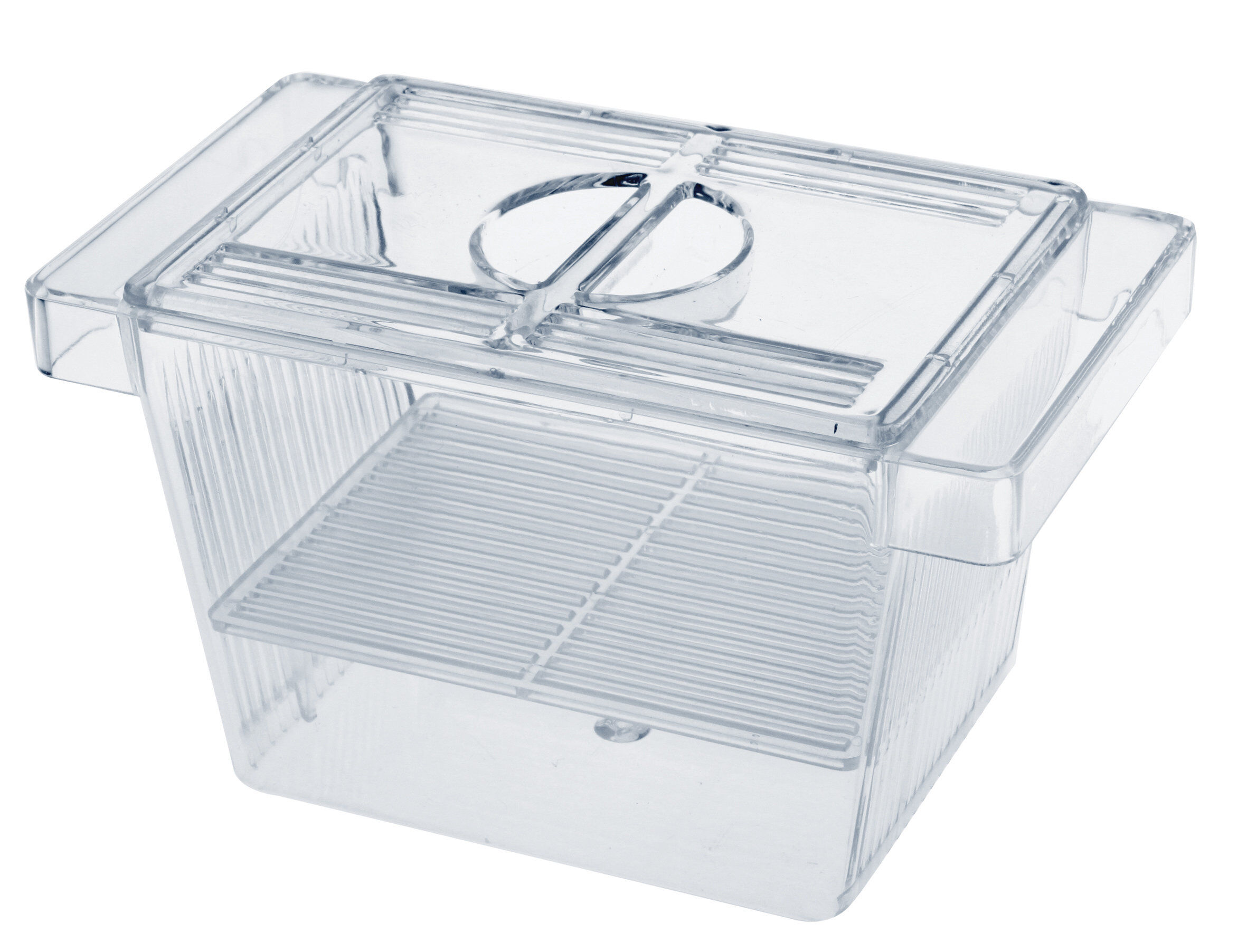 Amtra - Pondoir 3 En 1 avec Couvercle Small Wave Image num&eacute;ro 1