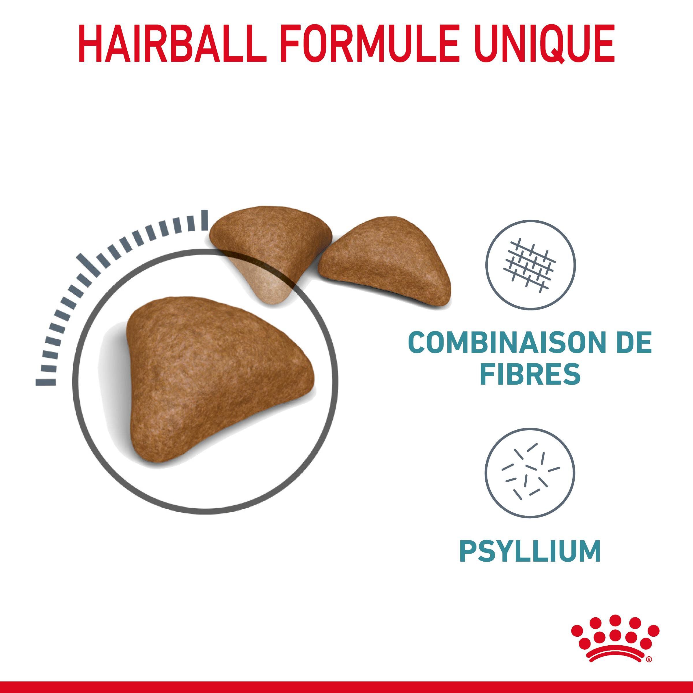 Royal Canin - Croquettes Hairball Care pour Chat - 4Kg Image num&eacute;ro 11