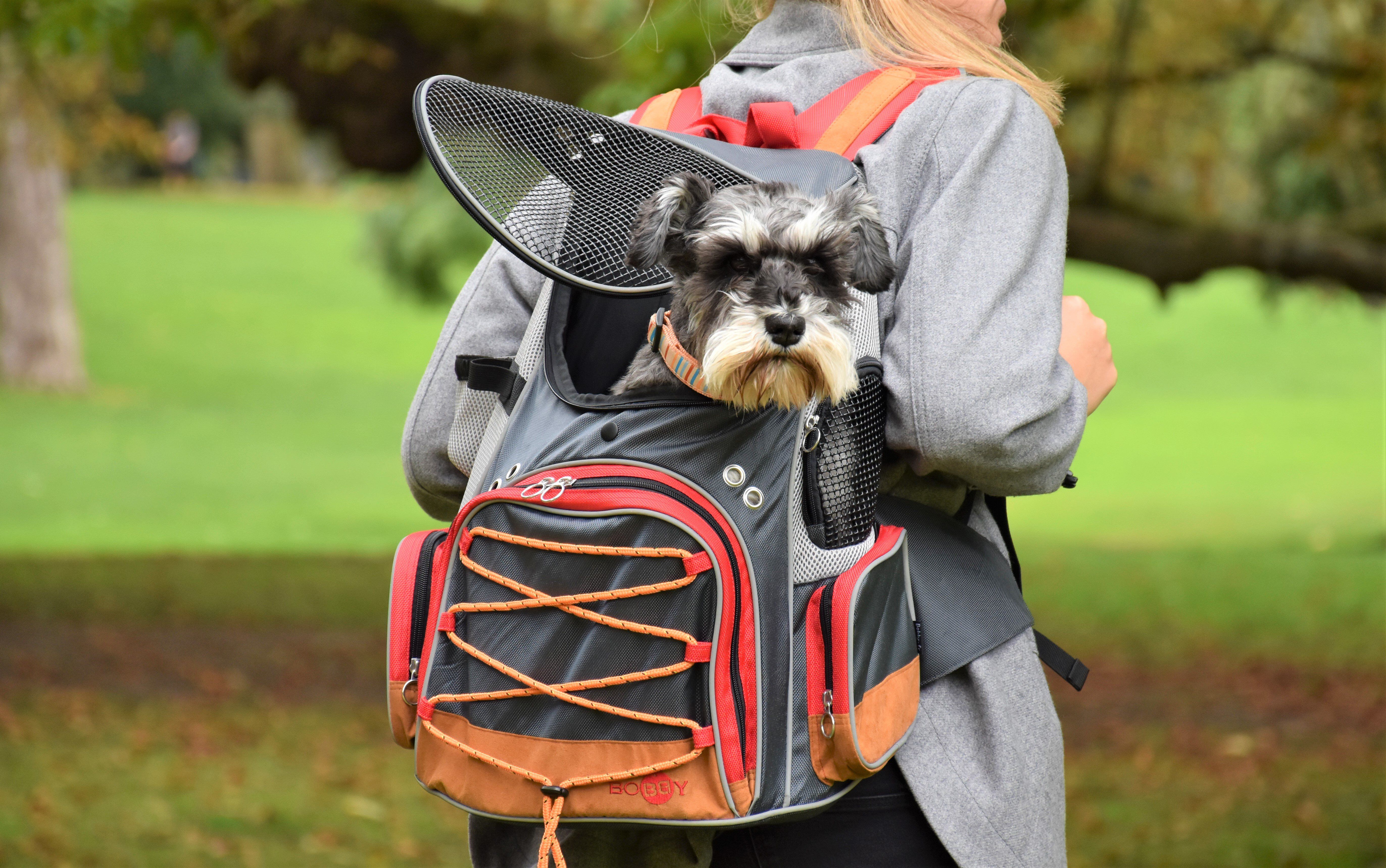 Bobby - Sac &agrave; Dos Dune pour Chiens - Gris Image num&eacute;ro 4