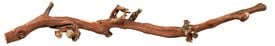 Trixie - Branche Pied de Vigne Naturelle pour Terrarium - L