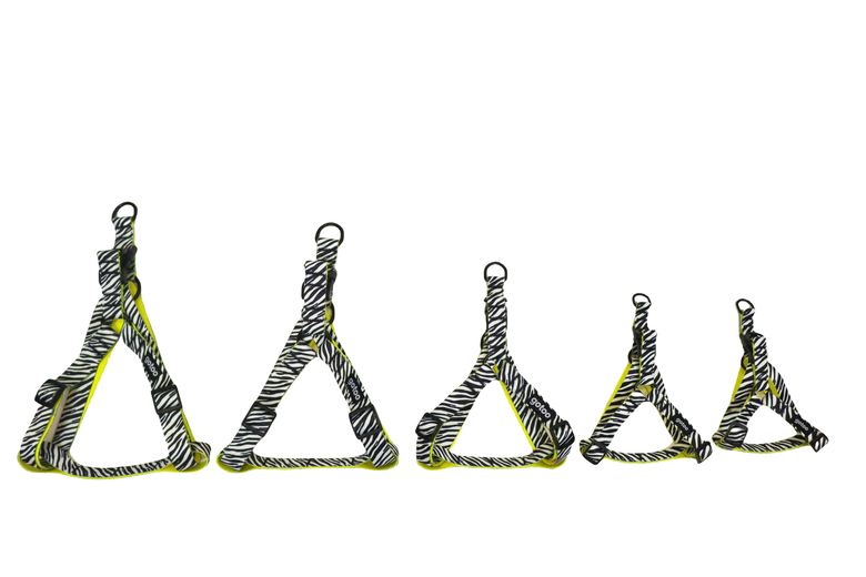 Gotoo - Harnais Zèbre pour Chien - XS Image numéro 6 Gotoo - Harnais Zèbre pour Chien - XS Image numéro 6