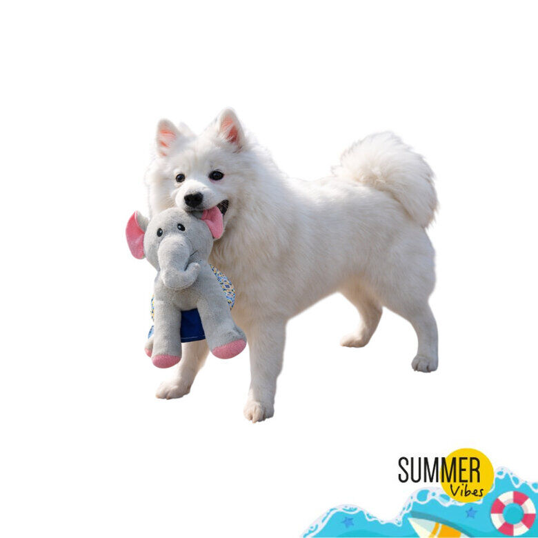 Summer Vibes - Peluche El&eacute;phant Dolce Vita pour Chiens - 27cm Image num&eacute;ro 1