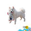 Summer Vibes - Peluche El&eacute;phant Dolce Vita pour Chiens - 27cm Indicateur image num&eacute;ro 1