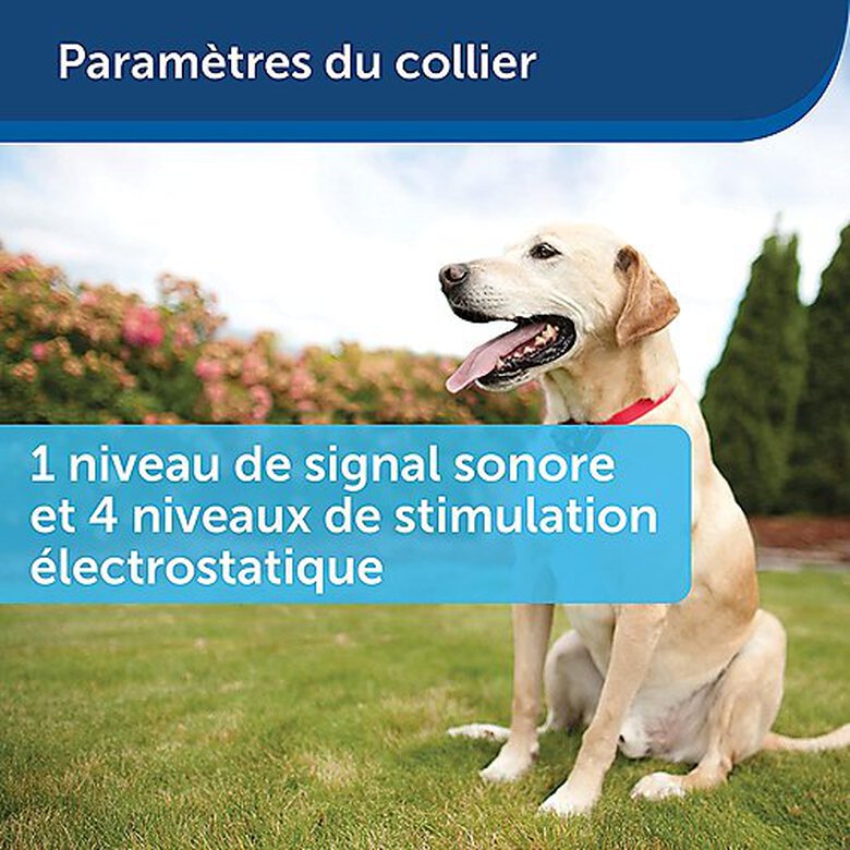 PetSafe - Kit Clôture Wireless pour Chiens image number null