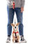 Gotoo - Harnais Essentials en Nylon Premium Rouge pour Chien - XS Indicateur image numéro 4