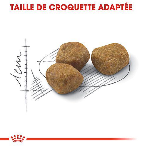 Royal Canin - Croquettes Fit 32 pour Chat Adulte - 4Kg Image num&eacute;ro 4