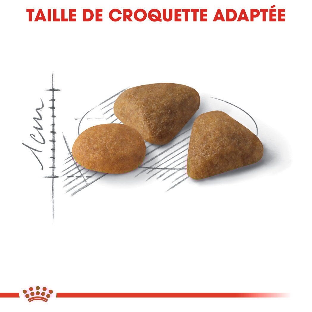 Royal Canin - Croquettes Savour Exigent pour Chats Difficiles - 10Kg Image num&eacute;ro 3