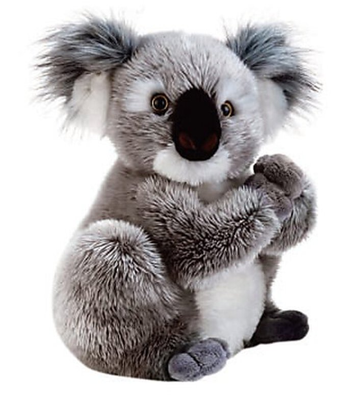 Anka - Jouet Peluche Pretty Koala pour Chiens - XS/14cm Image numéro 1 Anka - Jouet Peluche Pretty Koala pour Chiens - XS/14cm Image numéro 1