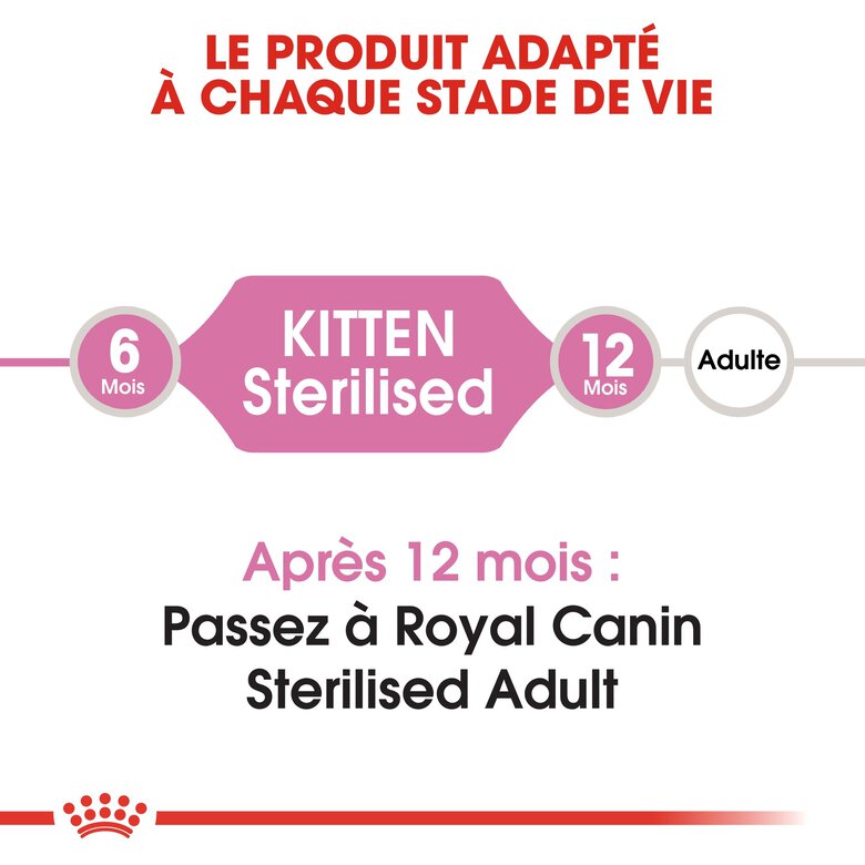 Royal Canin - Croquettes Kitten Sterilised pour Chaton - 400g Image numéro 3 Royal Canin - Croquettes Kitten Sterilised pour Chaton - 400g Image numéro 3