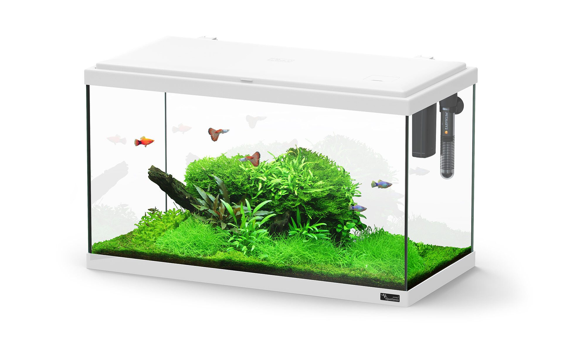 Aquatlantis - Aquarium Explorer Paris 60 - Blanc Equip&eacute; Image num&eacute;ro 1