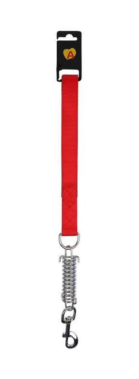Animalis - Laisse Amortisseur Confort de 25mm et 50cm pour Chien - Rouge Image numéro 1 Animalis - Laisse Amortisseur Confort de 25mm et 50cm pour Chien - Rouge Image numéro 1
