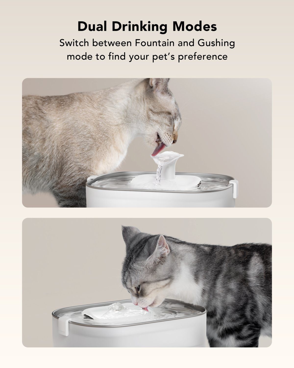 Petlibro - Fontaine &agrave; Eau avec Pompe sans Fil - 2,5L Image num&eacute;ro 5