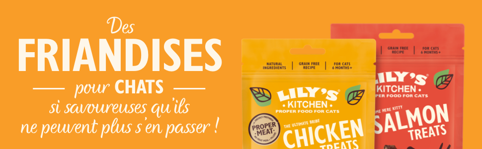 Lily's Kitchen - Friandises au Saumon pour Chat - 60g Image num&eacute;ro 5