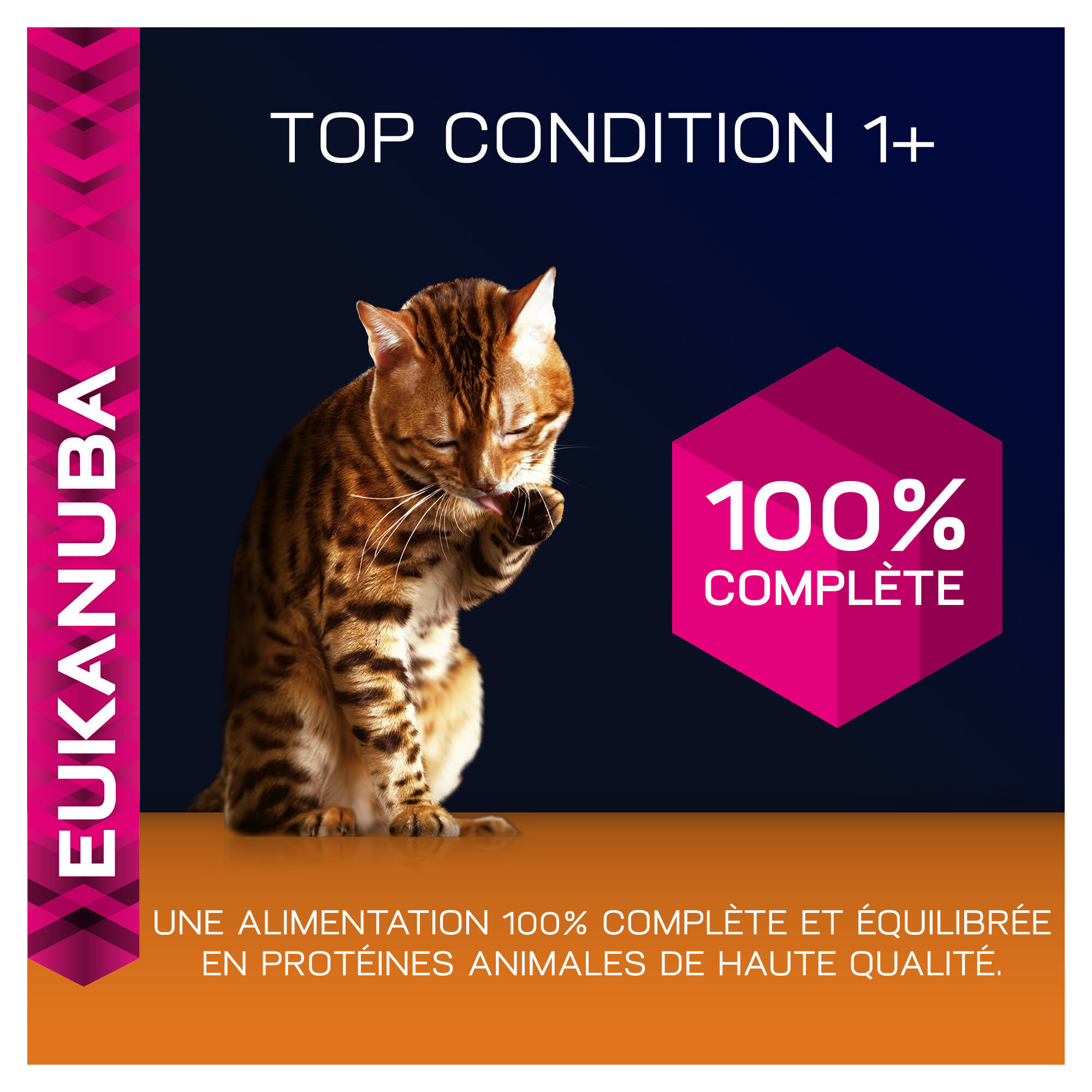 Eukanuba - Croquettes Top Condition 1+ au Poulet et Foie pour Chat Image num&eacute;ro 4