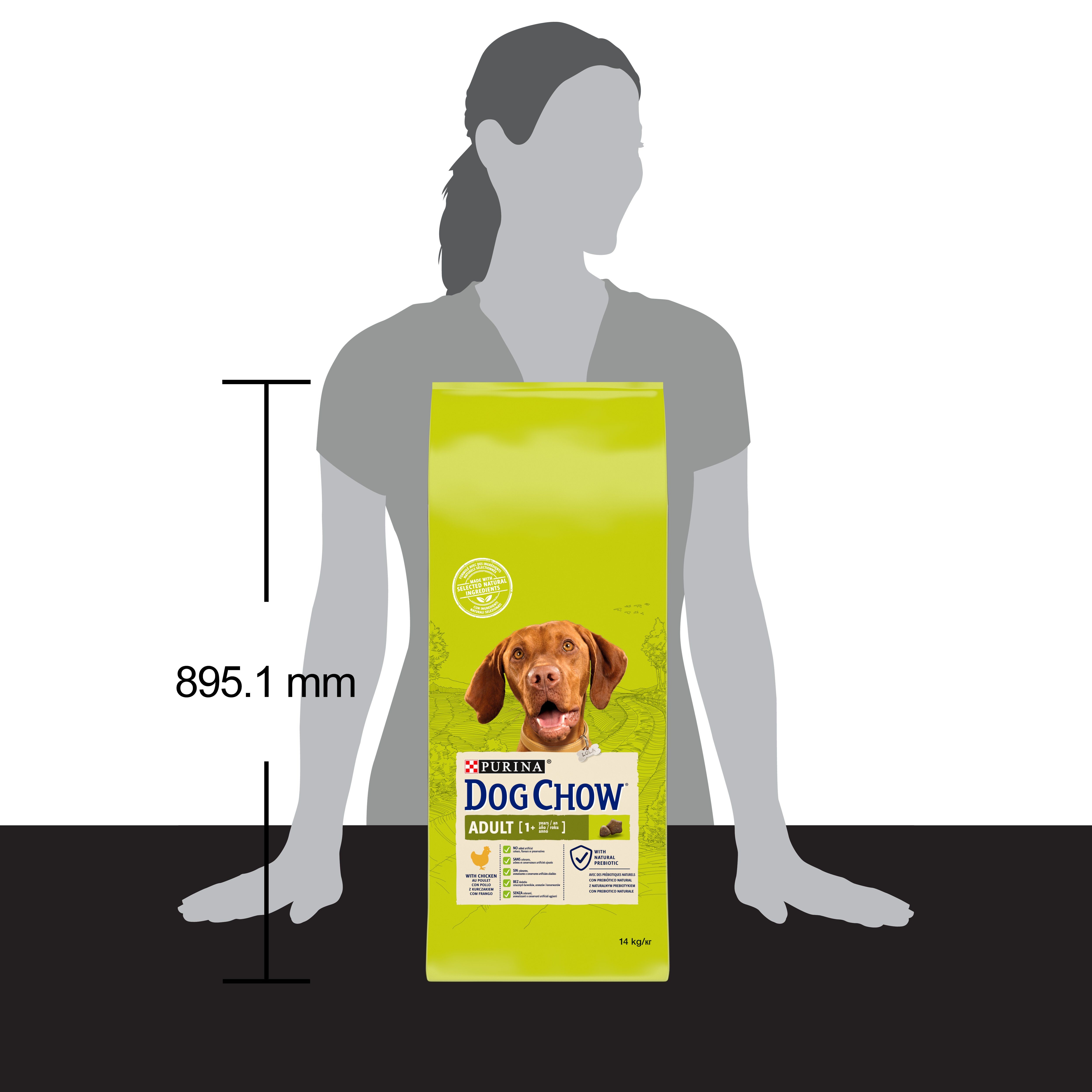 Dog Chow - Chien Adult avec du Poulet - 14 Kg Image num&eacute;ro 4