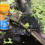 JBL - Aliment Proterra Crustarus pour Tortues d'Eau et Cistude - 250ml Indicateur image num&eacute;ro 4
