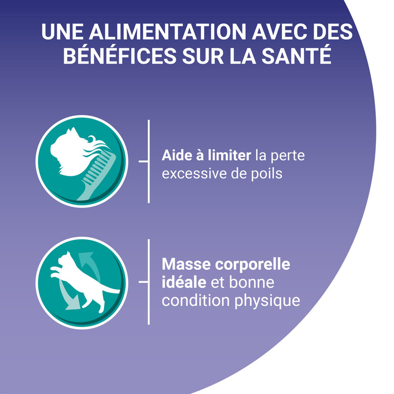 PURINA ONE - Sachets fraîcheurs Thon et Veau pour Chats d'intérieur - 4x85g Image numéro 6 PURINA ONE - Sachets fraîcheurs Thon et Veau pour Chats d'intérieur - 4x85g Image numéro 6