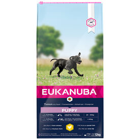 Eukanuba - Croquettes Chiot pour Grande Race au Poulet