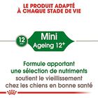 Royal Canin - Croquettes Mini Ageing 12+ pour Chien Senior - 3,5Kg image number null