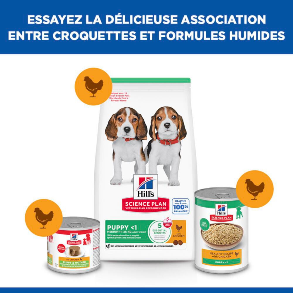 Hill's Science Plan - Puppy Croquettes Pour Chiot Au Poulet  -  2,5kg Image num&eacute;ro 13