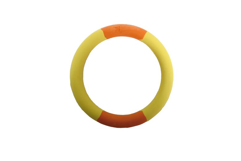 Martin Sellier - Jouet Anneau Rubb'n'color pour Chien - 14,5cm Image numéro 1 Martin Sellier - Jouet Anneau Rubb'n'color pour Chien - 14,5cm Image numéro 1