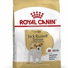 Royal Canin - Croquettes Jack Russel Terrier pour Chien Adulte - 3Kg image number null
