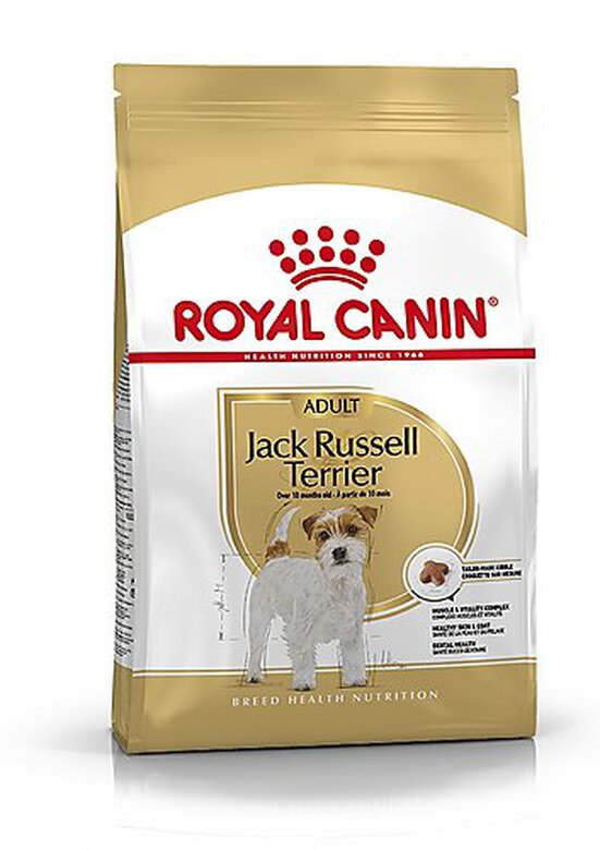 Royal Canin - Croquettes Jack Russel Terrier pour Chien Adulte - 3Kg image number null