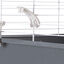Ferplast - Cage Barn Double 100 pour Lapins - Blanc Indicateur image numéro 7