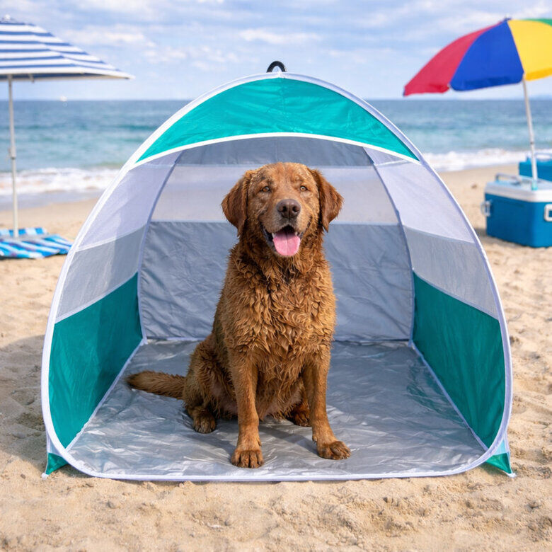 Summer Vibes - Tente de Plage pour Chiens - 33cm Image num&eacute;ro 6