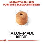 Royal Canin - Croquettes Labrador pour Chien Adulte - 12Kg image number null