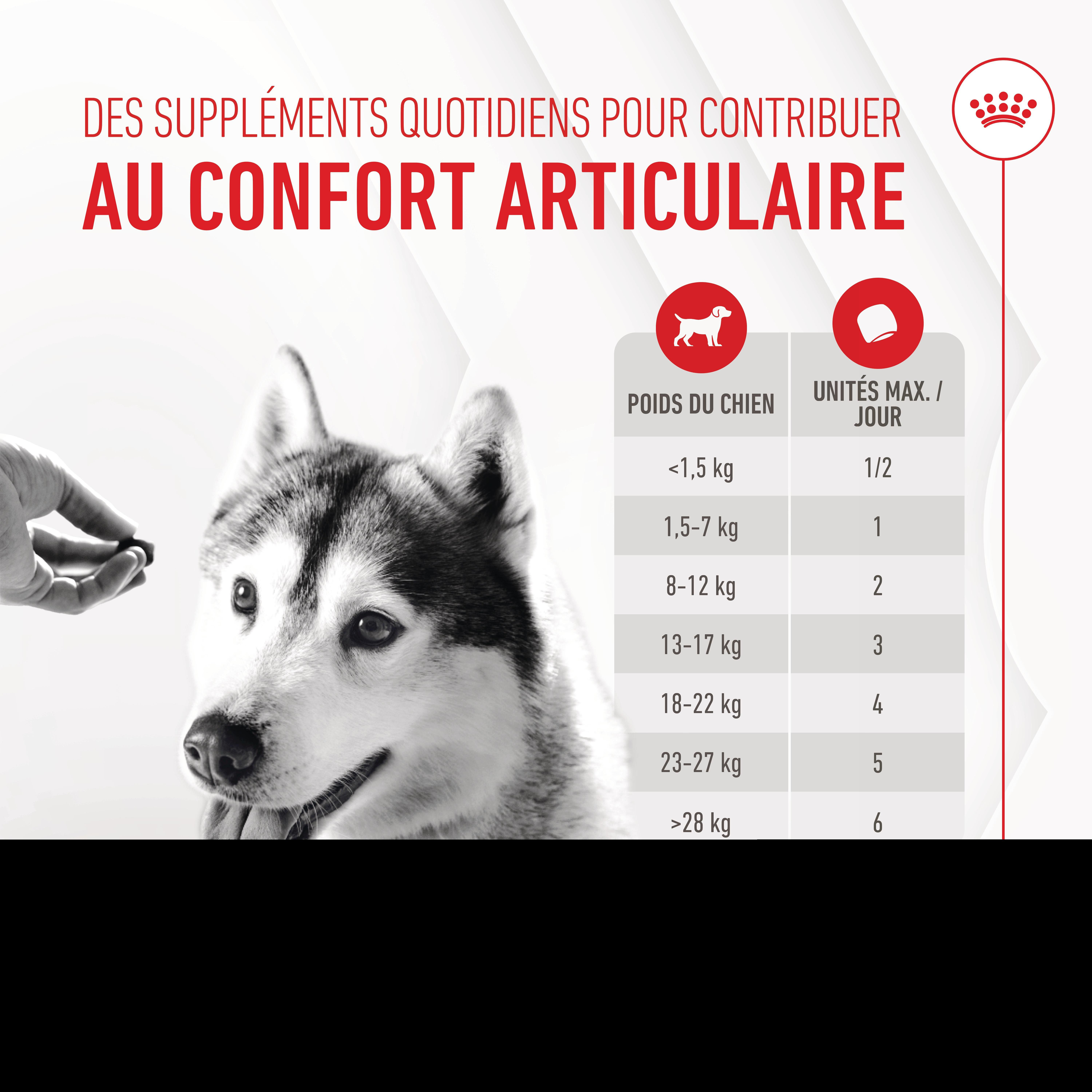 Royal Canin - Aliment compl&eacute;mentaire Adult Joint & Agieing Chews pour Chiens - 240g Image num&eacute;ro 7
