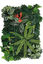 Repto - Décoration Repto Plant Back Wall Mat 40-60 Cm 3 Indicateur image numéro 2