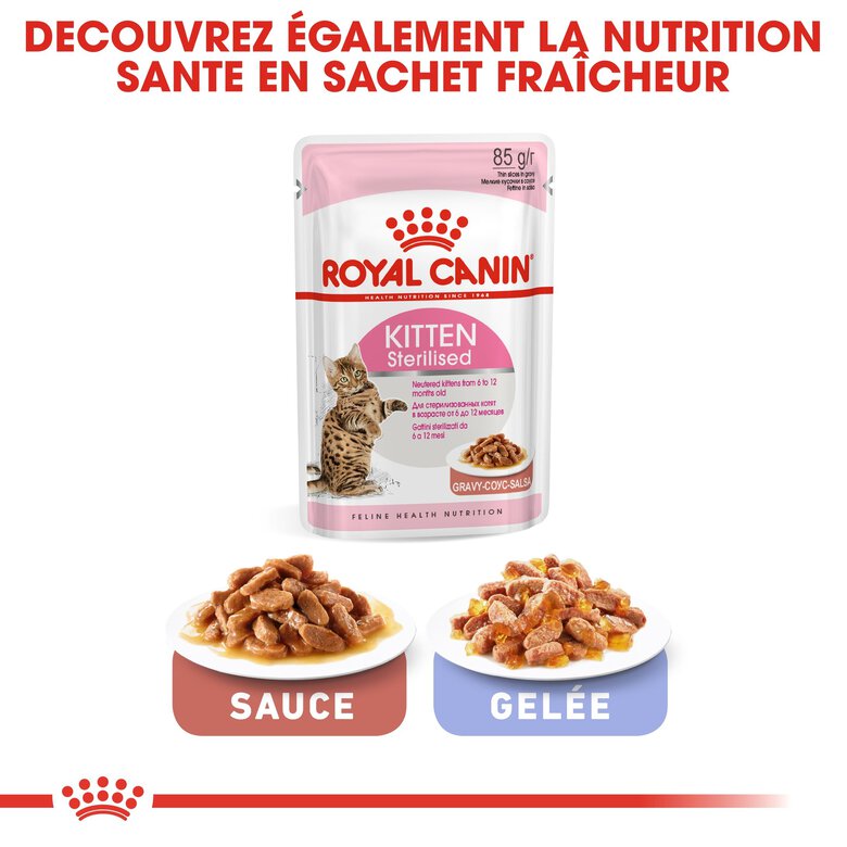 Royal Canin - Croquettes Kitten Sterilised pour Chaton - 400g Image numéro 6 Royal Canin - Croquettes Kitten Sterilised pour Chaton - 400g Image numéro 6