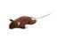 Tootoy! - Peluche Souris Géante - Marron Indicateur image numéro 1