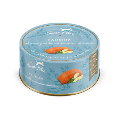 Terra Felis - Aliment Naturel au Saumon pour Chats - 80g