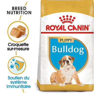 Royal Canin - Croquettes Puppy Bulldog pour Chiot