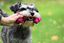 Croci - Jouet Os En Caoutchouc Violet pour Chiens - 13cm Indicateur image num&eacute;ro 3