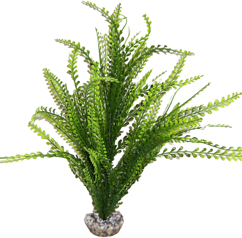 Labeo - Arbre assorti grand modèle - Plante Artificielle Aquarium Image numéro 7 Labeo - Arbre assorti grand modèle - Plante Artificielle Aquarium Image numéro 7