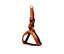 Gotoo - Harnais Essentials en Nylon Premium Orange pour Chien - XS Indicateur image numéro 1