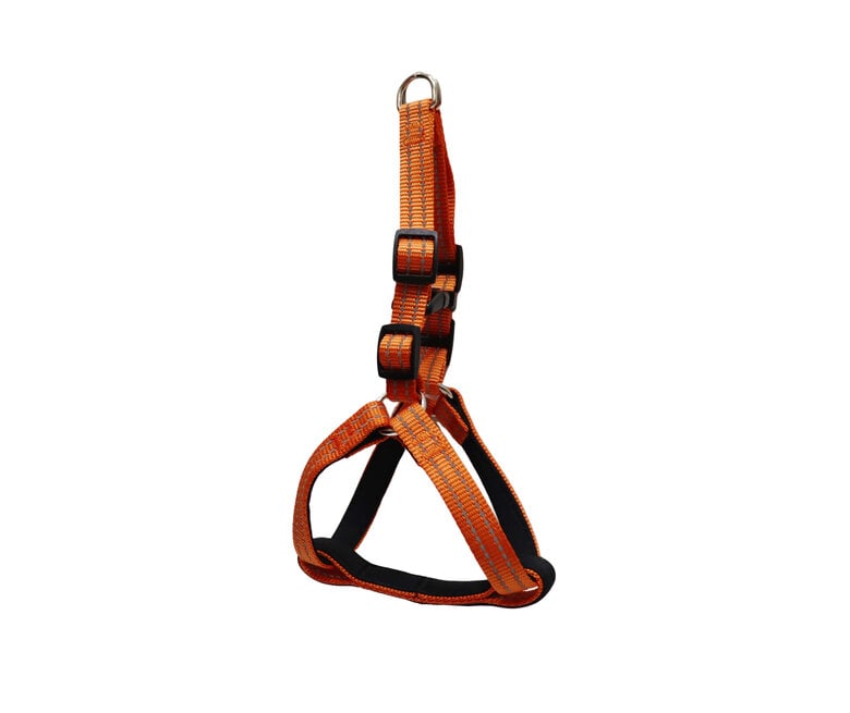 Gotoo - Harnais Essentials en Nylon Premium Orange pour Chien - XS Image numéro 1 Gotoo - Harnais Essentials en Nylon Premium Orange pour Chien - XS Image numéro 1
