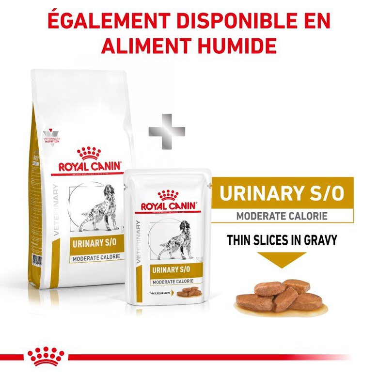 Royal Canin - Croquettes Veterinary Diet Urinary S/O Moderate Calorie pour Chien - 1,5Kg Image numéro 2 Royal Canin - Croquettes Veterinary Diet Urinary S/O Moderate Calorie pour Chien - 1,5Kg Image numéro 2