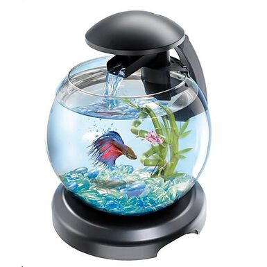 Aquarium,Globe de poisson Tropical en verre en forme de S, petit Aquarium  créatif de bureau, Mini pot de - Type Blue Grit package -C