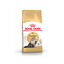 Royal Canin - Croquettes Persian pour Chat Adulte &agrave; partir de 12 Mois - 400g Indicateur image num&eacute;ro 1