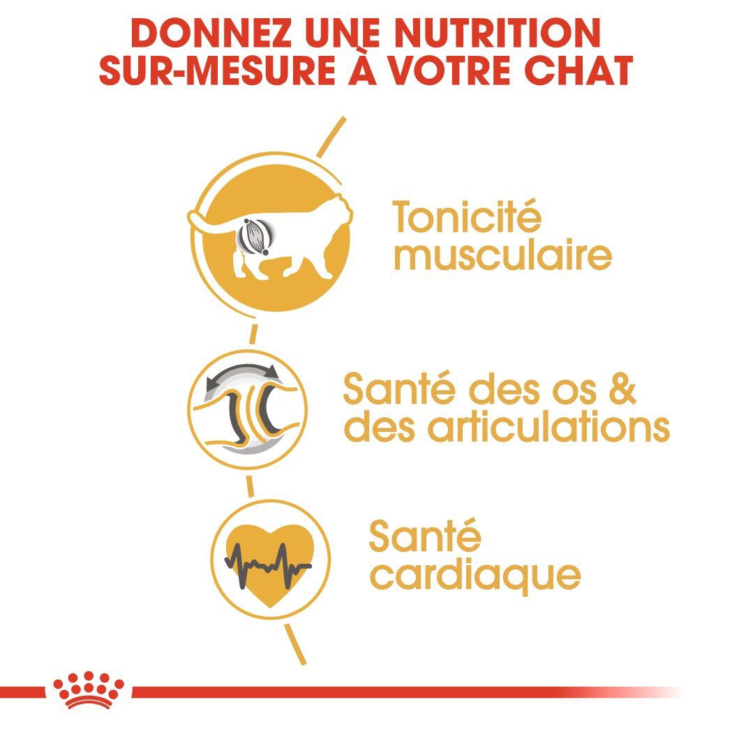 Royal Canin - Croquettes British Shorthair pour Chat Adulte - 2Kg Image num&eacute;ro 5