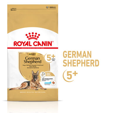 Royal Canin - Croquettes German Shepherd Adult À partir de +5 ans - 12 Kg