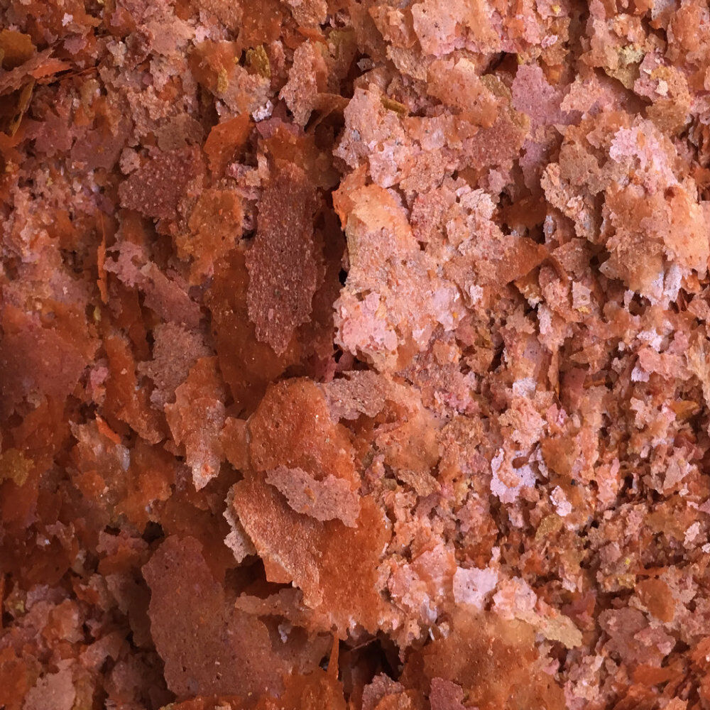Amtra - Aliment Pro Color Flake - 250ml Image num&eacute;ro 2