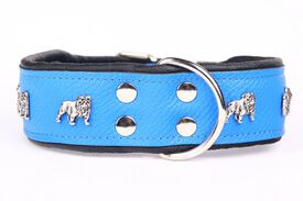 Yogipet - Collier Super Bulldog Cuir pour Chien Bleu