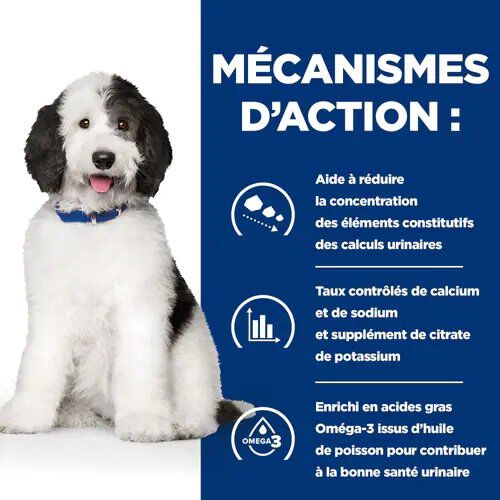 Hill's - Croquettes Prescription Diet C/D Urinary Care pour Chiens - 1,5Kg Image num&eacute;ro 4